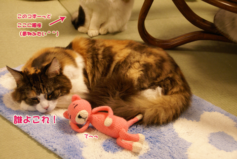 猫の時間21.jpg