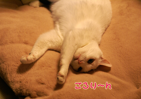 猫の時間22.jpg