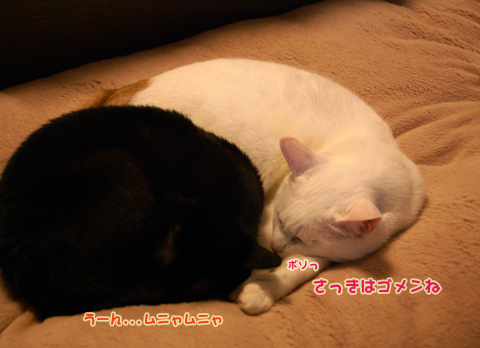 猫の時間43.jpg