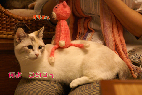 猫の時間54.jpg