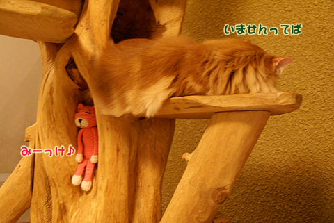 猫の時間66.jpg